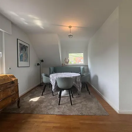 Wenzler Apartman *